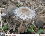 IMG_3839_Simple