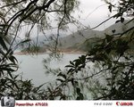 IMG_3886_Simple