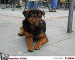 IMG_4110_Simple