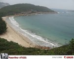 IMG_4121_Simple