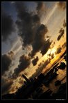 _DSC5976