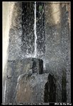 DSC_2576