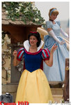 Disney16