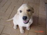 DSC01418