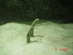 DSC01486