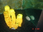 DSC01488