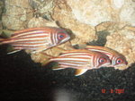 DSC01489