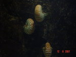 DSC01491