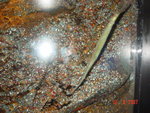 DSC01495