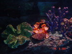 DSC01500