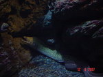 DSC01501