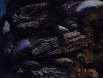 DSC01502