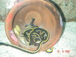 DSC01504