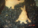 DSC01505