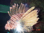 DSC01508