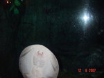 DSC01509