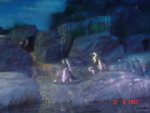 DSC01518