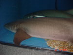 DSC01521