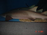 DSC01522