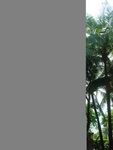 DSC01543