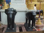 DSC01567