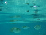 P2100327