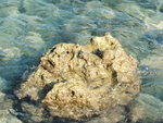 DSCF1948