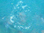 DSCF1953