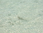 DSCF1957