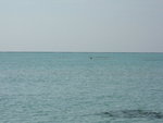 DSCF1962