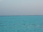 DSCF1968
