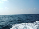 DSCF2033