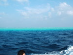 DSCF2041
