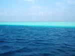 DSCF2045