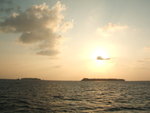 DSCF2104