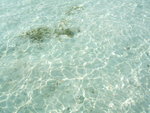 DSCF2144
