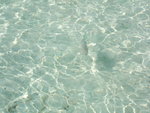 DSCF2148