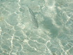 DSCF2149