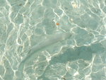 DSCF2150