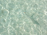 DSCF2151