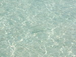 DSCF2153