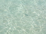 DSCF2154