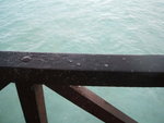 DSCF2163