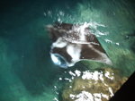 DSCF2229