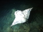 DSCF2263
