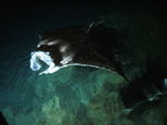 DSCF2265
