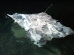 DSCF2274
