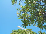 DSCF2330