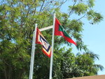 DSCF2339