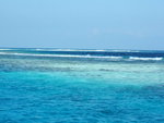DSCF2353